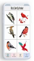 Oiseaux Color By Number, color Affiche