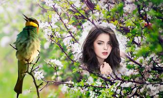 Birds Photo Frames 截图 2