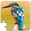 Puzzle Oiseaux