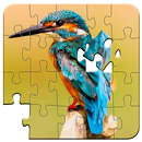 APK Puzzle Uccello