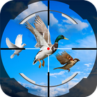 Bird Shooting 3D icône