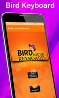 Birds Sound Keyboard captura de pantalla 3