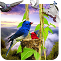 3D Birds Live Wallpaper HD