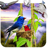 Birds Live Wallpaper 3D आइकन