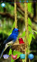 Birds Live Wallpaper 3D 스크린샷 2