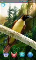 3D Birds Live Wallpaper HD capture d'écran 3