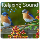 Birds Relaxing Sounds APK