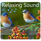 Birds Relaxing Sounds 圖標