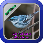 Cerulean Warbler アイコン