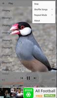 Chirping Java Sparrow تصوير الشاشة 3