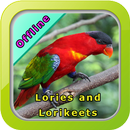 Chirping Parrot APK