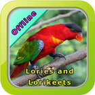 Chirping Parrot icon
