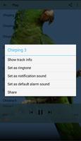 Chirping Parrot スクリーンショット 2