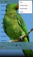 Chirping Parrot syot layar 3