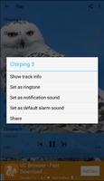 Chirping Birds Owl screenshot 2