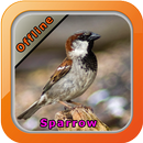 Chirping Sparrow APK