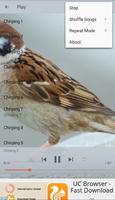 Chirping Sparrow captura de pantalla 3