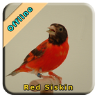 Red Siskin biểu tượng