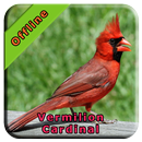 Cardinal Vermilion APK