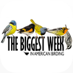 ”Biggest Week in Am. Birding