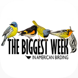آیکون‌ Biggest Week in Am. Birding