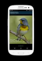 Biggest Week in Am. Birding imagem de tela 3