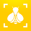 Bumble Bee Watch APK