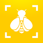 Bumble Bee Watch icon