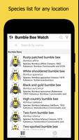 پوستر Bumble Bee Watch