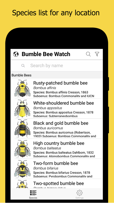 Bumble Bee Watch poster