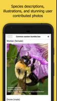 Bumble Bee Watch Ekran Görüntüsü 1