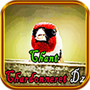 Chant Chardonneret Dz APK