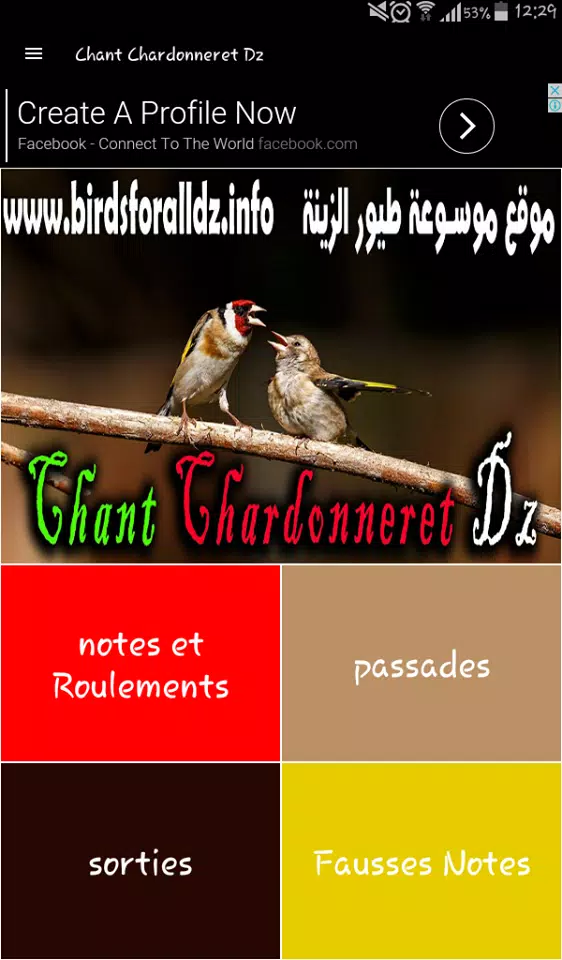 Chant Chardonneret Dz APK for Android Download