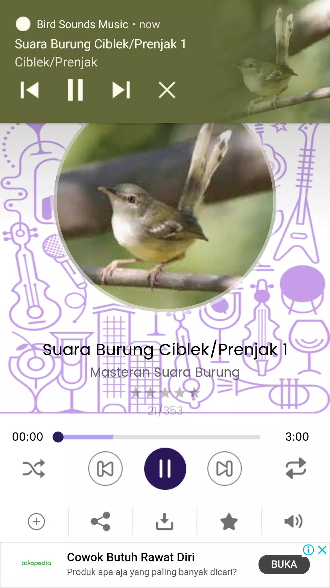 Bird Sounds - Free MP3 Download APK pour Android Télécharger