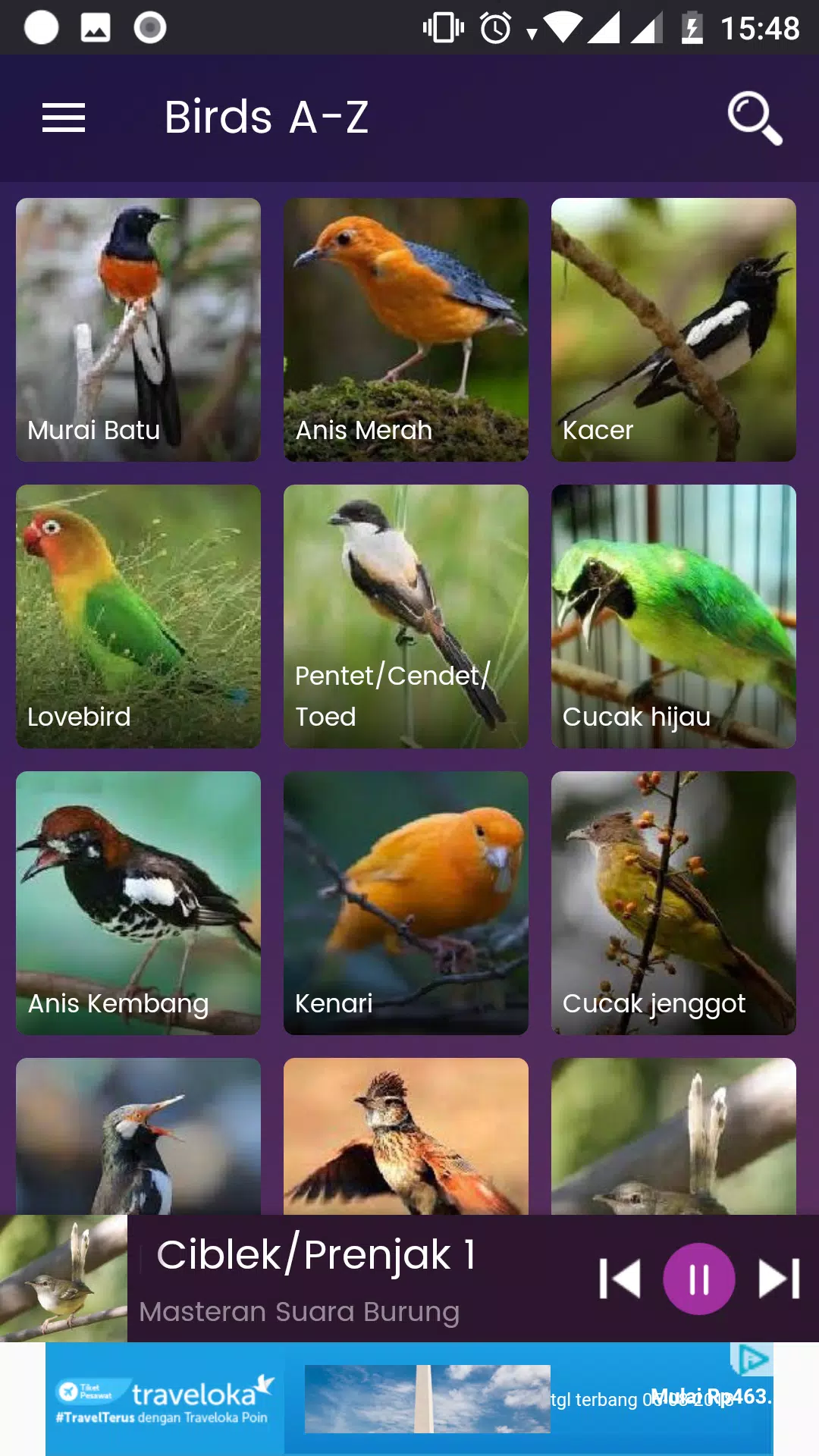 Bird Sounds - Free MP3 Download APK pour Android Télécharger
