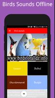 Birds Sounds ( Offline ) Affiche