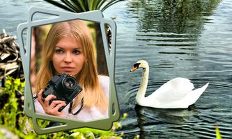 cadres photo oiseaux Affiche