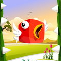 Bird Spike