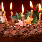 Gâteau D'anniversaire De LWP icône