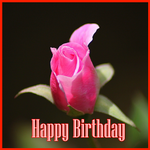 Happy Birthday Wife APK