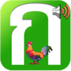 ก. ไก่ APK