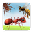Insects Learning Flashcards APK