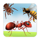 Insect Flash Kaarten-APK