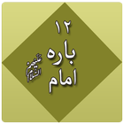 12 Imam A.S Book in Urdu icône