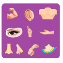 Body Parts APK