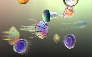 Jelly Dream plakat