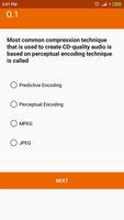 Multimedia Computing MCQ Quiz screenshot 3