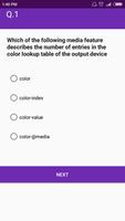 CSS (Paperset 2) MCQ Quiz screenshot 3