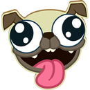 Pug Rapids-APK