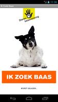 Ik zoek baas Poster